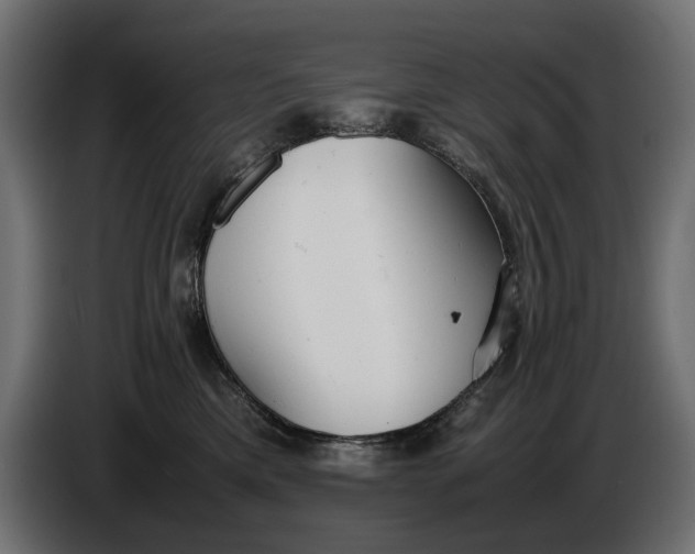X0000086010425200704131832