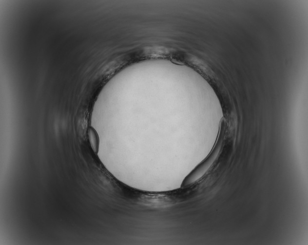 X0000086010427200704131832