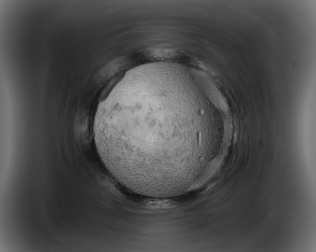 X0000086010428200704131832
