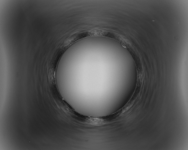 X0000086010429200704131832