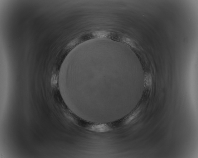 X0000086010431200704131832