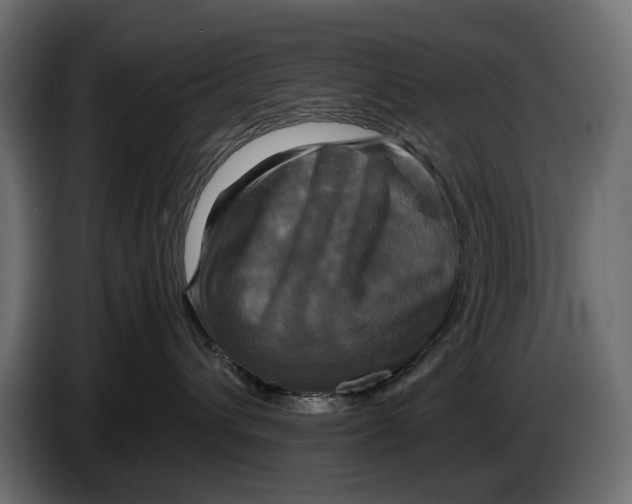 X0000086010432200704131832