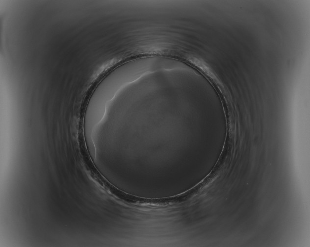 X0000086010434200704131831
