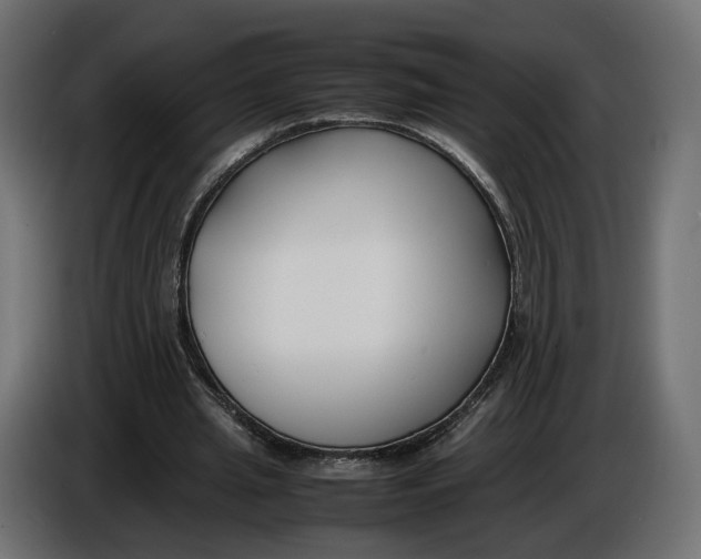 X0000086010437200704131831