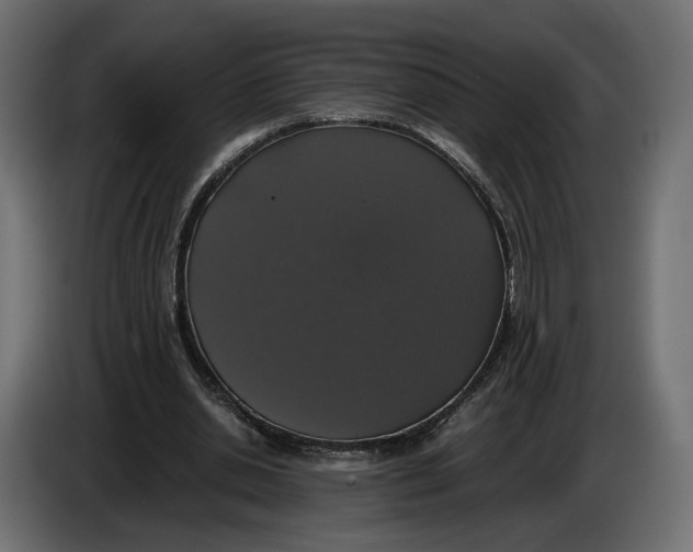 X0000086010438200704131831