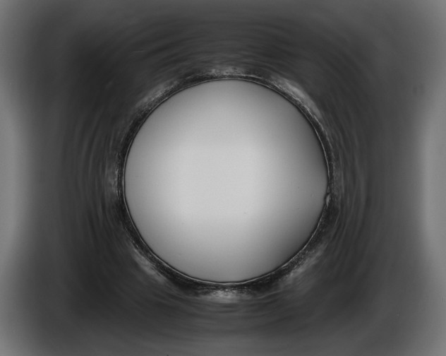 X0000086010441200704131831