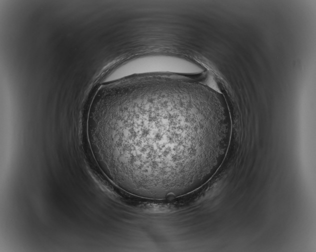 X0000086010442200704131831