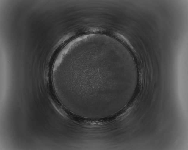 X0000086010443200704131831