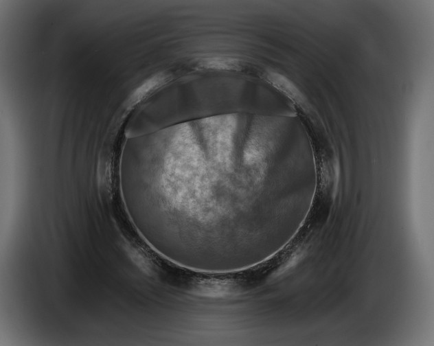X0000086010444200704131831