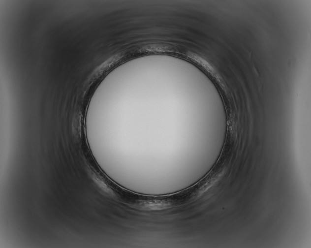 X0000086010445200704131831