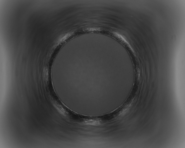 X0000086010447200704131831