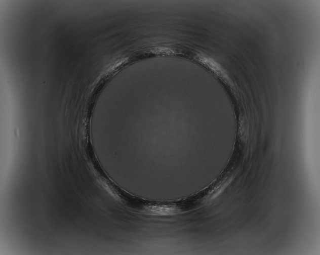 X0000086010449200704131831
