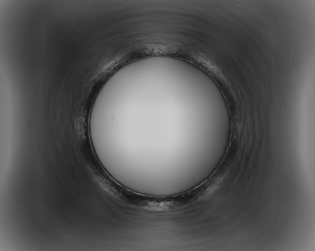 X0000086010450200704131831