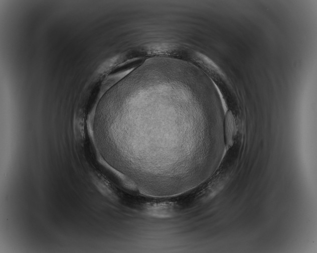 X0000086010452200704131831