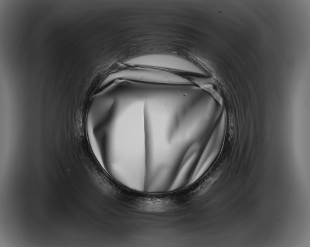 X0000086010453200704131831