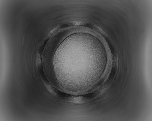 X0000086010456200704131831