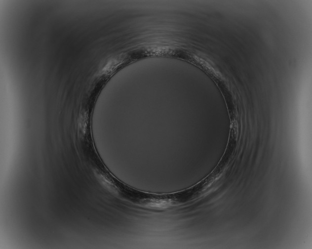 X0000086010458200704131831