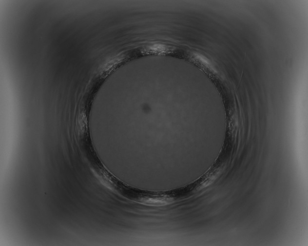 X0000086010459200704131831