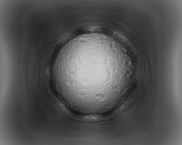 X0000086010461200704131831