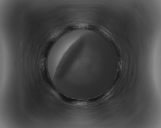 X0000086010462200704131831