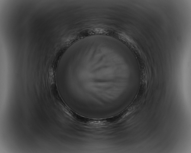 X0000086010465200704131831