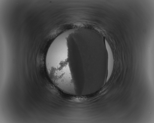 X0000086010466200704131831