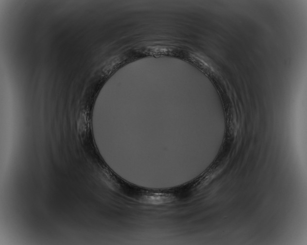X0000086010467200704131831
