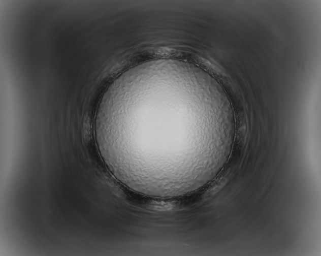 X0000086010469200704131831
