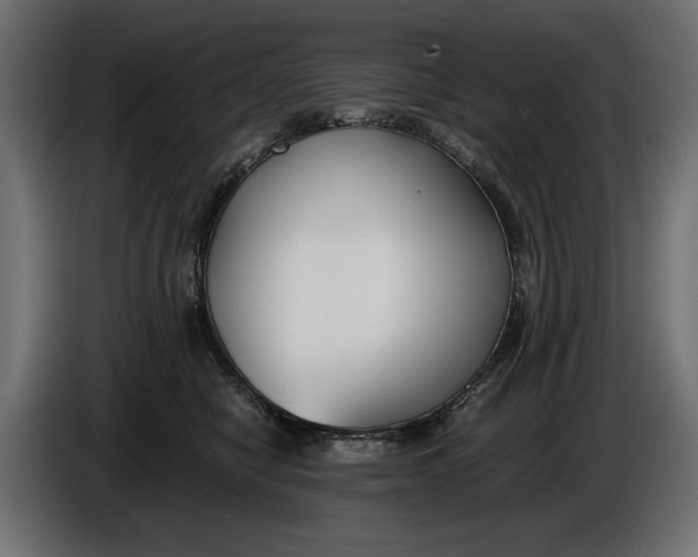 X0000086010470200704131831
