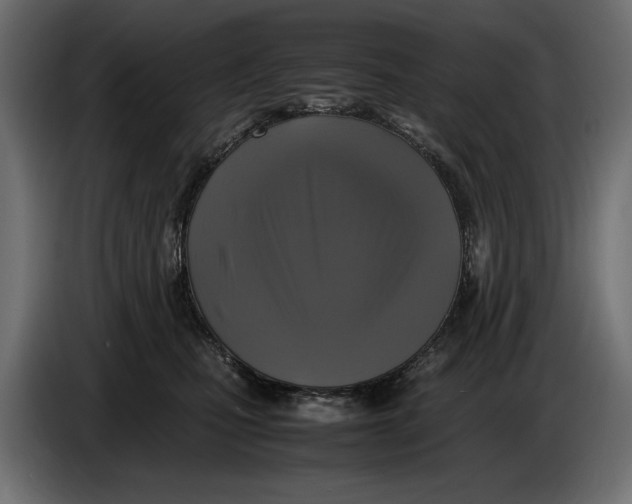 X0000086010471200704131831