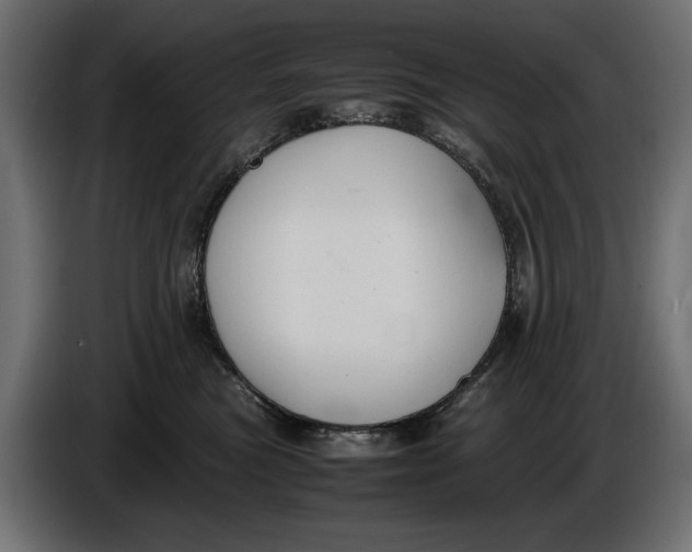 X0000086010473200704131832