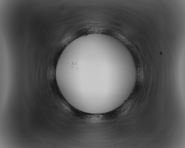 X0000086010474200704131832