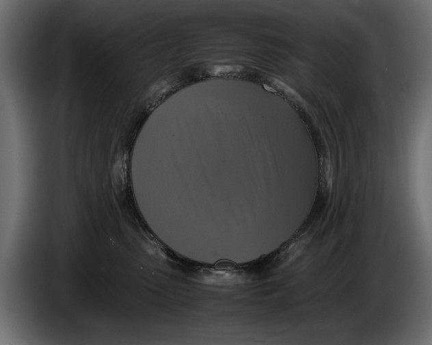 X0000086010475200704131832