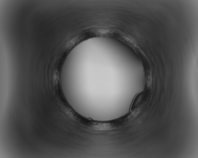 X0000086010476200704131832