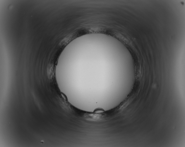 X0000086010478200704131832