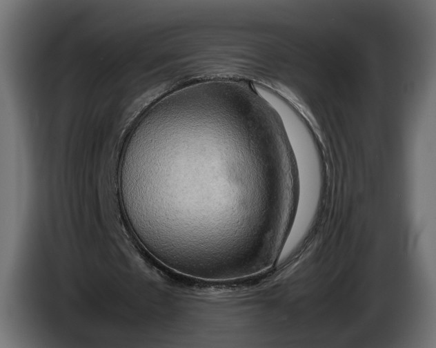 X0000086010481200704131831