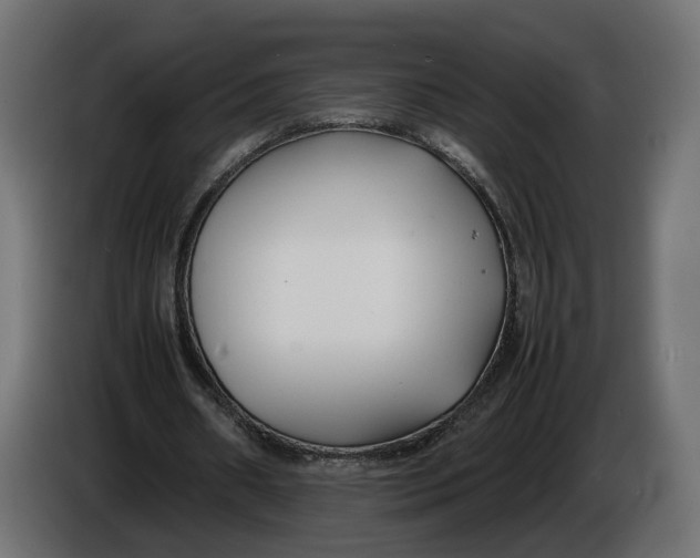 X0000086010482200704131831