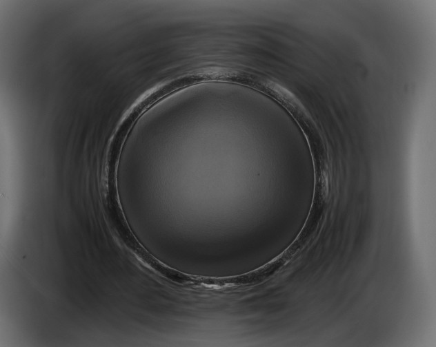 X0000086010484200704131831