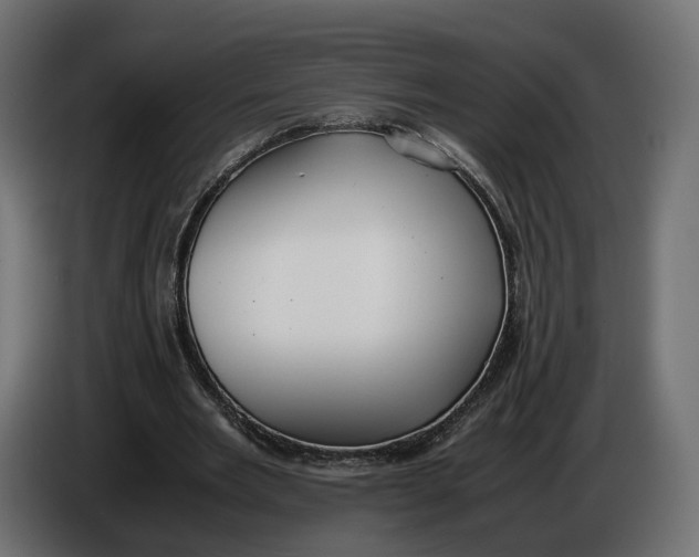 X0000086010485200704131831