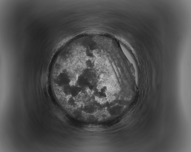 X0000086010487200704131831