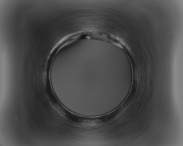 X0000086010488200704131831