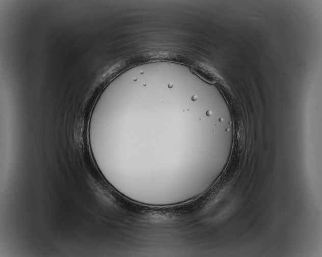 X0000086010490200704131831