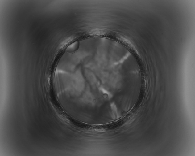X0000086010491200704131831