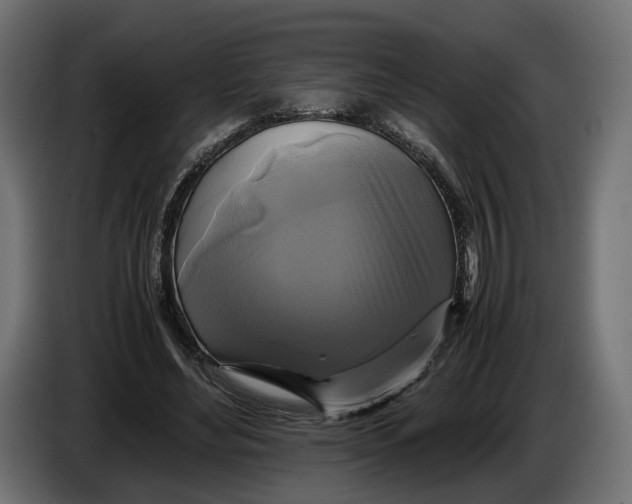 X0000086010492200704131831