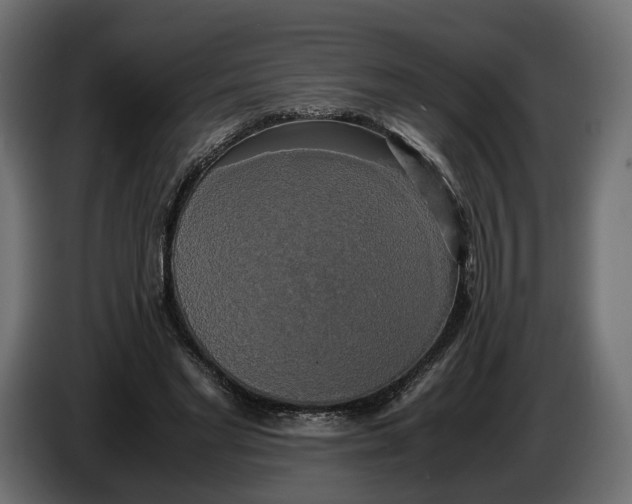 X0000086010493200704131831