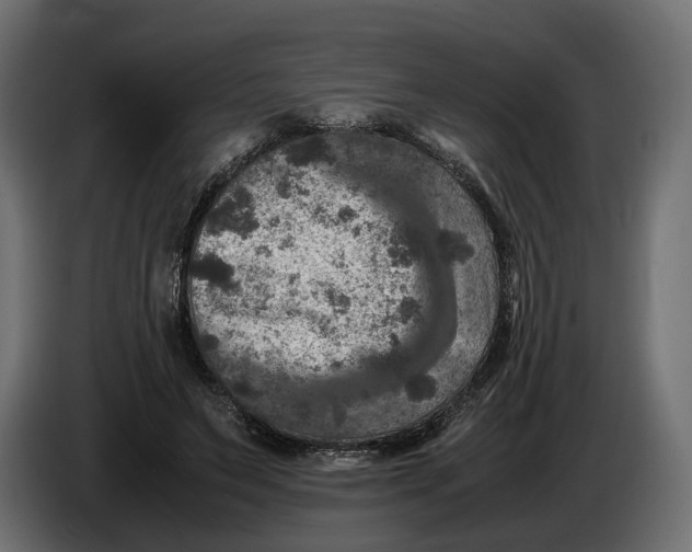 X0000086010495200704131831