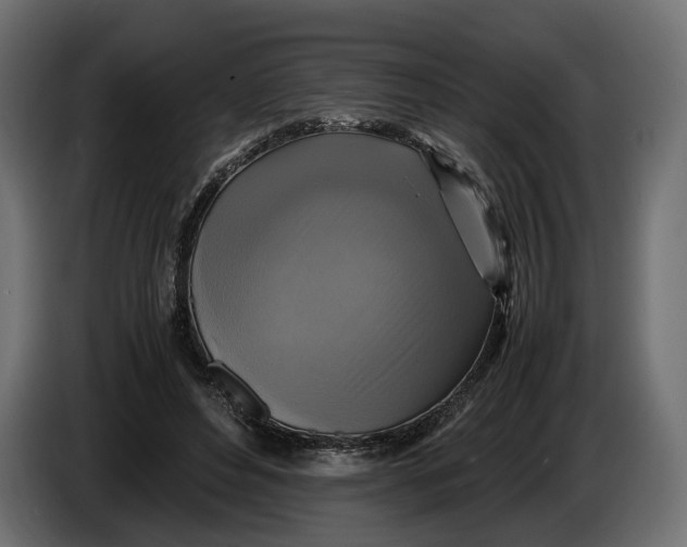 X0000086010496200704131831