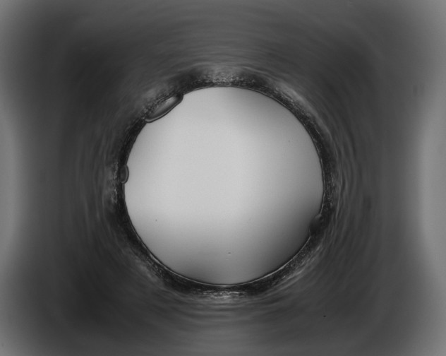 X0000086010497200704131831