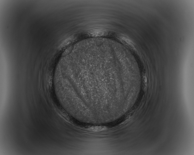X0000086010499200704131831