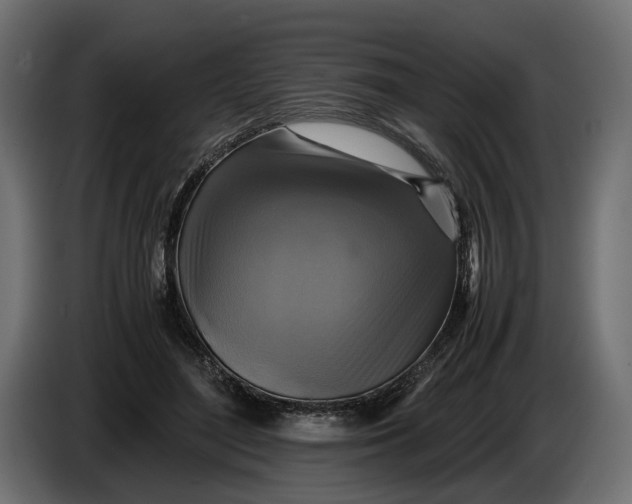 X0000086010500200704131831